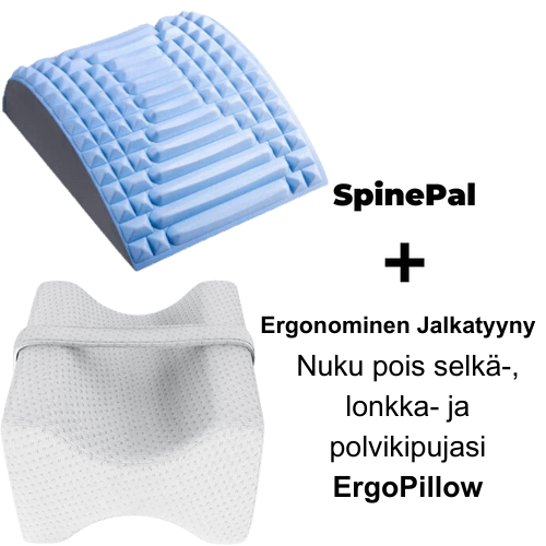 SpinePal 1 kpl + ErgoPillow 1 kpl